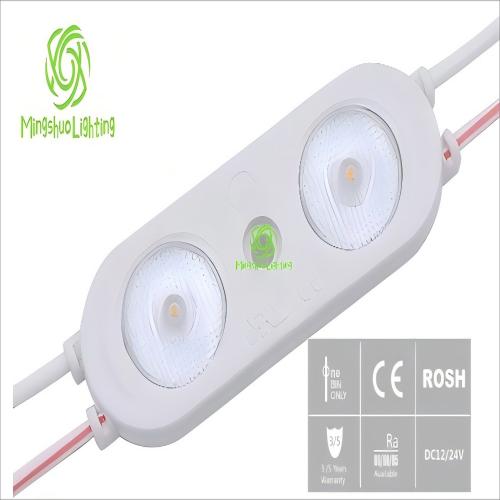 OSRAM chip 12V 2W 2leds/pc Led Module
