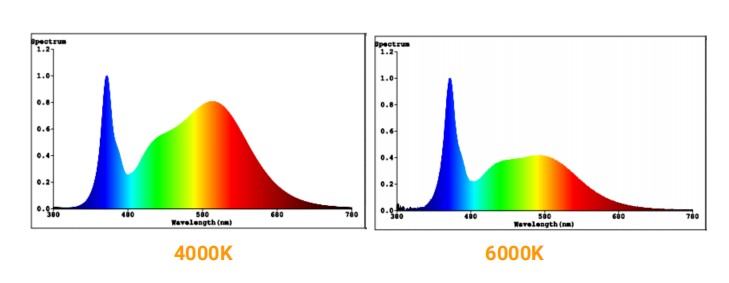 1750754314898720.jpg